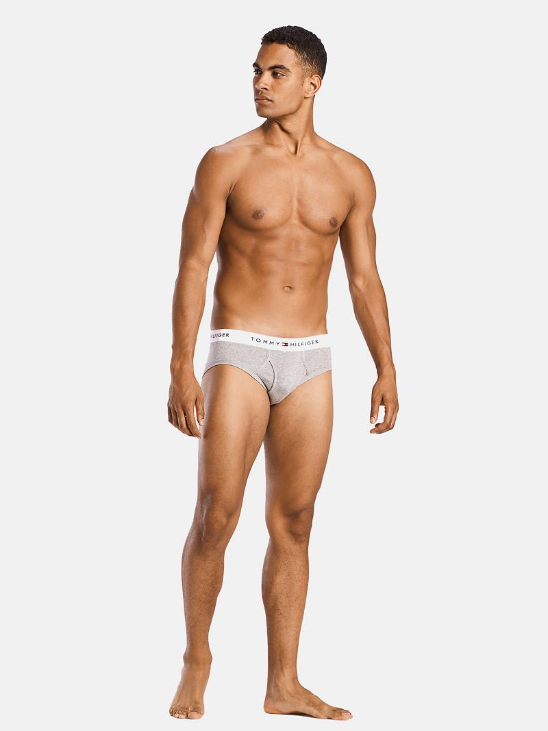 Férfi Tommy Hilfiger Pamut classics brief 4pk Briefs Szürke Sötétkék | HU 1322CTV